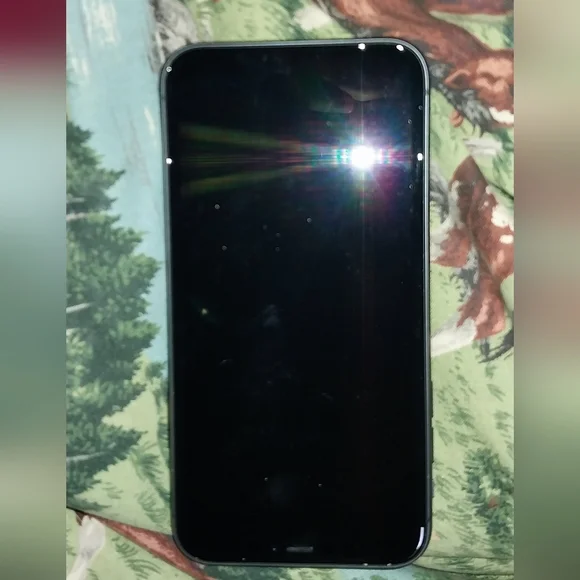 Iphone 11 locked